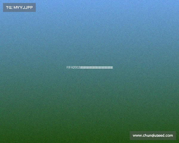 FIFA2002世界杯联机对战方法与网络连接全面指南攻略解析